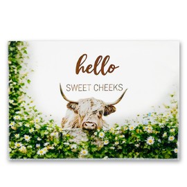 Highland Cow Gifts For Women Highland Cow Graphic Printing Towel Exquisite Birthday Gifts For Women Multifunctional Absorbent Bathroom And Kitchen Hand Towel For Suitable As Gifts Or Household Items