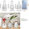 FANTESTICRYAN Glass Bud Vases Set of 3, Clear Vase 1.9"L