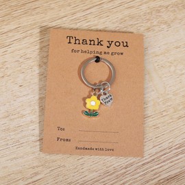 Miss Pink Teacher Appreciation Gifts for Women, Teacher Keychain Teacher Christmas Gifts End of Year Thank You for Helping Me Grow Gift for Daycare Math Music Teacher Funny Best Teacher Gift (Y)