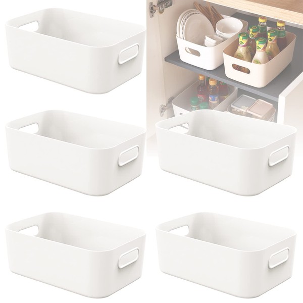 W&H 5 PCS White Plastic Storage Boxes Small, with Handle