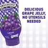 Smucker's Grape Squeezable Jelly, 20 Ounces (Pack of 12)