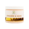 Crema Jengibre & Neem Coporal Antioxidante 400 Gr Productos Mart Mexico