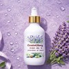 Lavender High Moisturizing Cream 160g Snail Elasticity Dry Skin /