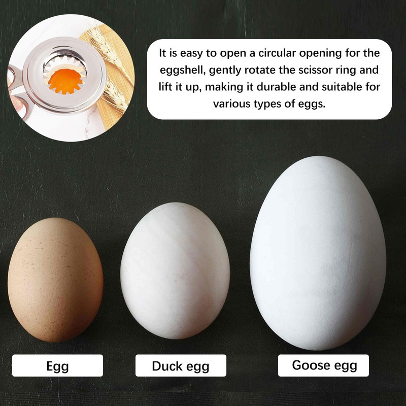 Egg Topper Cutter,Edelstahl Ei Scissor,Eierköpfer,Eieröffner,Eierköpfer Eier Cutter,Eierschalenschere,Gourmet Eierköpfer,Eierschneider,Edelstahl Eierköpfer,Ei Scissor,für