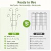 LXCSYXJ Small Trellis for Potted Plants,Trellis for Climbing Plants Outdoor