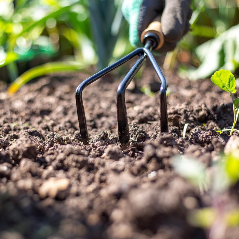 Hand 3 Prong Cultivator - Carbon Steel