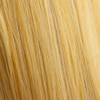 Half wig with volume booster/height booster: Corrine honey blonde #24BH613