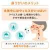 鼻うがい サイナスヘルパー セット 鼻洗浄器（本体1本+専用塩3包）＋ 専用塩（60包×2箱）