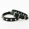 Dogs Kingdom Pu Leather One Row Studded Spiked Adjustable Dog