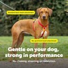PetSafe Sure-Fit Harness - Maximum Adjustability - Soft Padded Straps