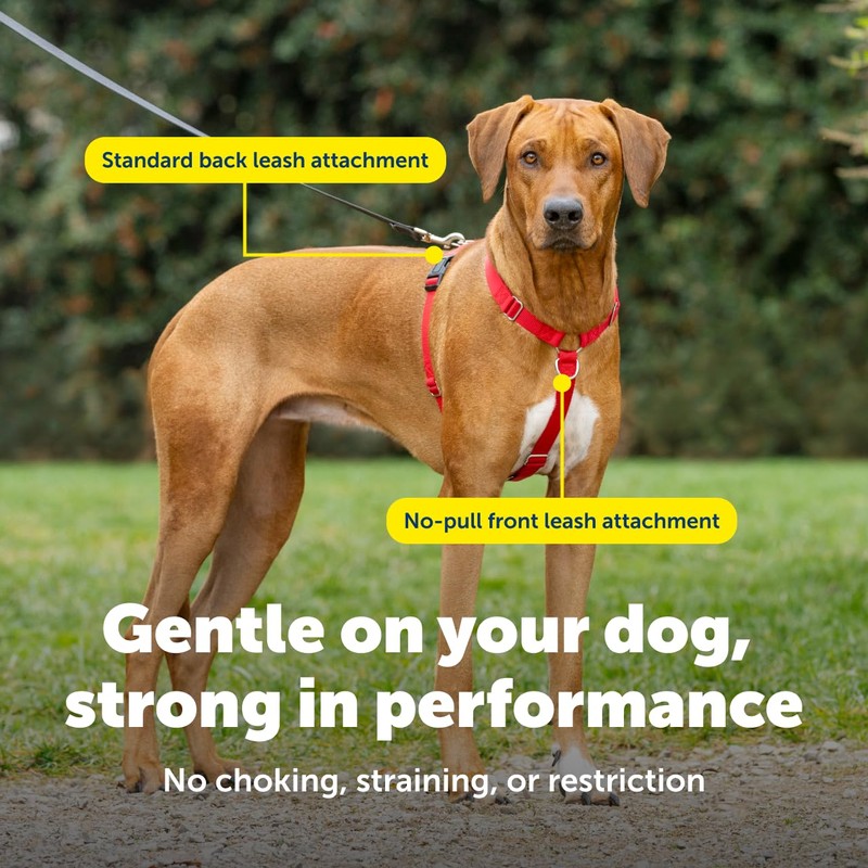 PetSafe Sure-Fit Harness - Maximum Adjustability - Soft Padded Straps