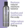 Design Essentials Peppermint & Aloe Therapeutics Anti-Itch Shampoo 240ml