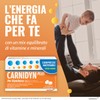 Carnidyn Plus Integratore Alimentare per Stanchezza Mentale e Fisica, 18
