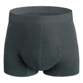 REELINDRY Washable Incontinence Underwear for Men, 2.3 oz Leak Proof Absorbent Incontinence Briefs with Covered Waistband 1 Pack (Dark Gray, L)