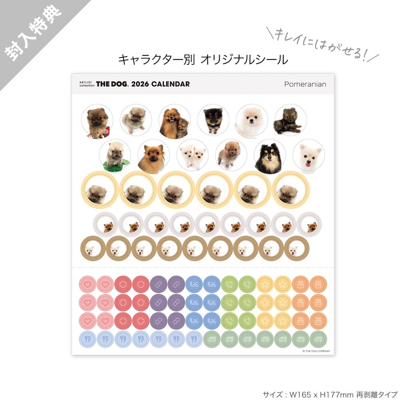 THE DOG Calendar 2026 Wall Calendar Mini Size [Pomeranian]