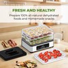 Rosewill Compact Food Dehydrator, 5 Stackable Trays with Adjustable 48H