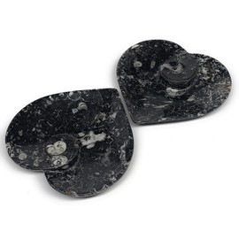 WatanGems 856g, 6.25" x 6.25", 2pcs Set, Handcrafted Heart Shape Black Fossils Orthoceras Ammonite Bowl, Well Made Unique Gemstone Well Polished from Morocco, B8465