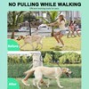 Prong Training Collar for Dogs, Adjustable Dog Pinch Collar with