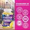 Hydration Electrolyte Gummies - Daily Liquid Replenisher Gummy - Electrolyte