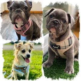 PUPTECK 犬 ハーネス リード セット 犬用 胴輪 はーねす 調節可能 着脱簡単 軽量 メッシュ 通気性 快適 ソフト 反射材付き 引っ張り防止 抜けない 喉に優しい 耐久性 散歩 安全 しつけ用 老犬介護 おしゃれ 小型犬 中型犬 大型犬 （ベージュ チェック, Sサイズ）