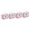 Operitacx 4pcs Box Lash Containers Eyelash Case Eyelash Storage Case