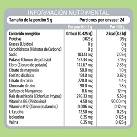 HEALTHADDICTION Polvo de Electrolitos con BCAA’s Prebióticos y Vitaminas B – Sin Azúcar ni Calorías – Hidratación y Recuperación – Sabor Limón – Fórmula Baja en Sodio y Libre de Gluten – 120g