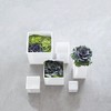 Planter 12cm x 12cm x 12cm
