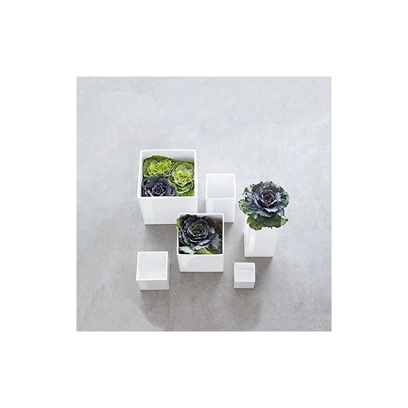 Planter 12cm x 12cm x 12cm