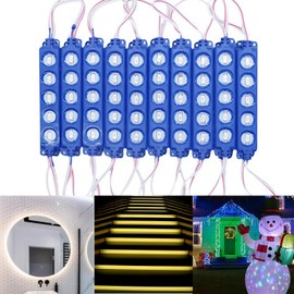 niccryle 100pcs LED Module DC12V Replacement Lights Inflatables for Christmas Waterproof Led Storefront Lights Window Back Lights for Sign DIY Indoor Outdoor (Blue)