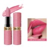 Clásico Mate Labial Set Duradero Resistente Al Agua