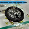 Aquarium Floating Betta Fish Skins, Betta or Shrimp Feeder, Cave