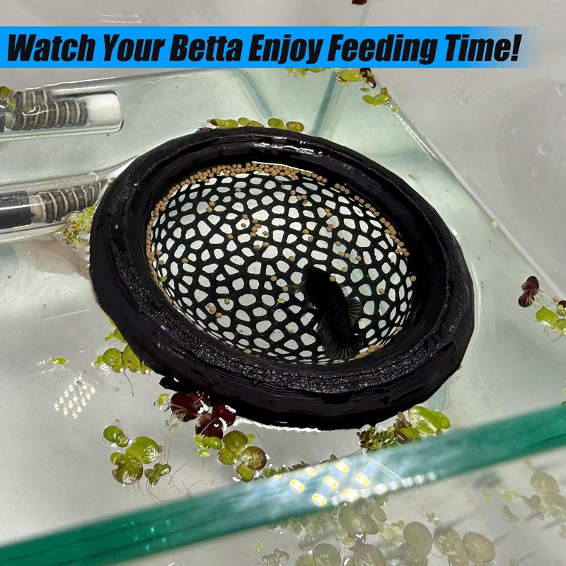 Aquarium Floating Betta Fish Skins, Betta or Shrimp Feeder, Cave