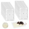 Qualirey 12 Pack Mouse and Insect Glue Traps, Strong Sticky