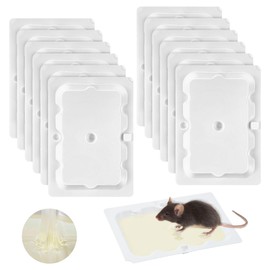 Qualirey 12 Pack Mouse and Insect Glue Traps, Strong Sticky Mice Traps Indoor for Home, Pre Scented Rodent Pads with Non Toxic Glue for House Garage, Ready to Use, Safe to Children and Pets (White)