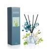 Freesia Reed Diffuser Set, 1.7 oz Scent Diffuser with Dried