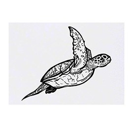 'Sea Turtle' Temporary Tattoo - Water Resistant, Skin-Safe, Non-Toxic Transfer (TO00019411)