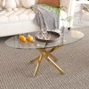 NIERN Glass Coffee Table with Chromed Legs, Oval Modern Living