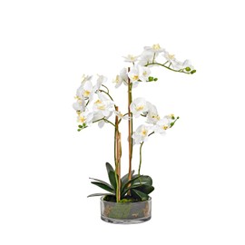 D&W Silks White Orchids in Low Glass Bowl