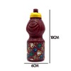 ICE TOYS Childrens School Bottle with Characters + Name Tag