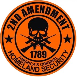 2ND AMENDMENT STICKER 1789 HOMELAND SECURITY BLACK ON RED BUMPER STICKER WINDOW