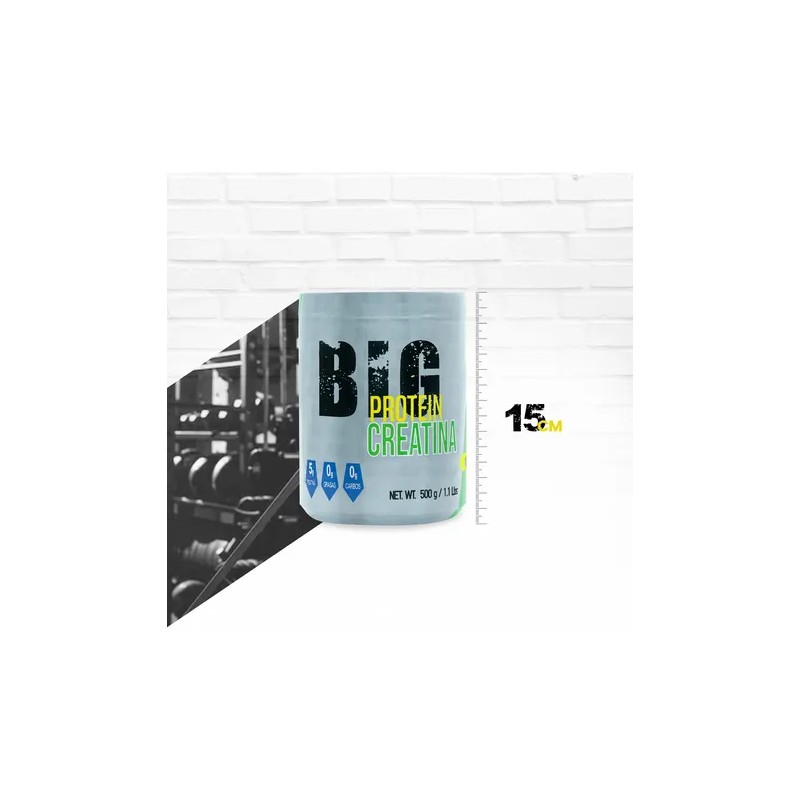 Creatina Monohidratada 500 Gramos Big Protein 100 Servicios