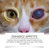 Yegbong Compound Taurine Tablets For Cats Nutritional Supplement Multi-Dimensional Taurine