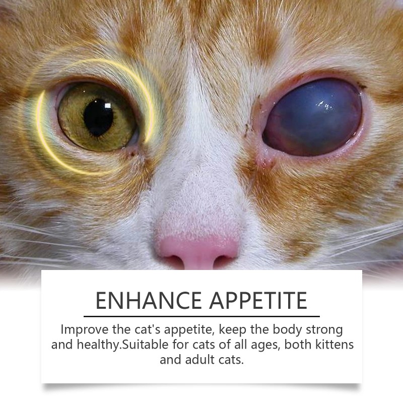 Yegbong Compound Taurine Tablets For Cats Nutritional Supplement Multi-Dimensional Taurine