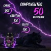 Creatina + Glutamina Panther Protein 1kg Varios Sabores