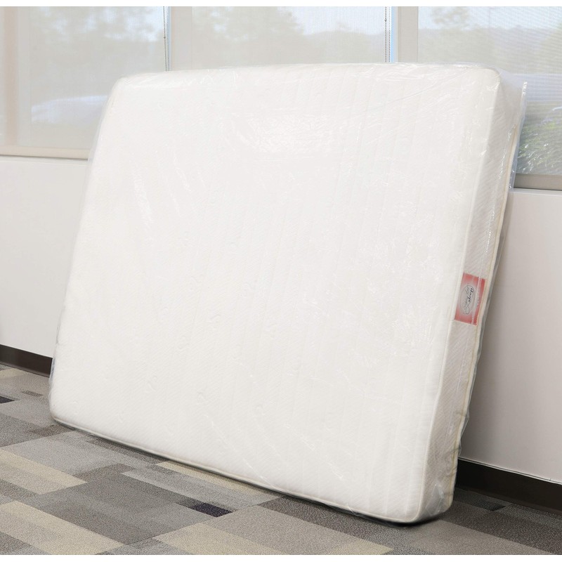 Simple Houseware Queen Size Mattress Bag