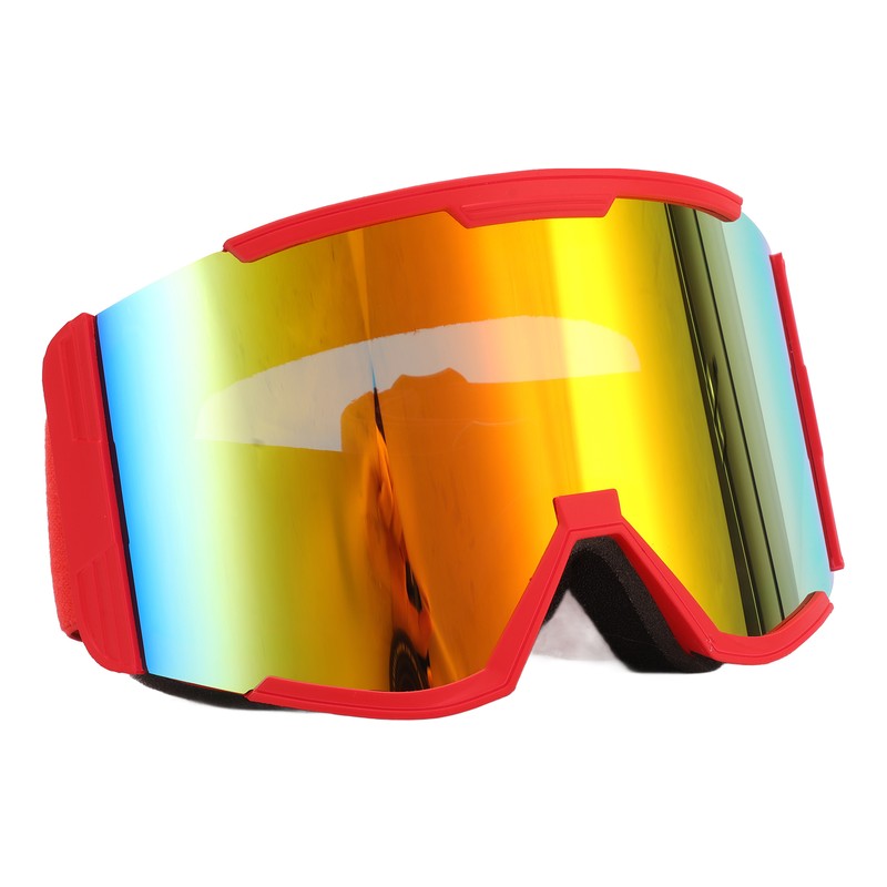 Adult Ski Goggles Double Layer Anti Fog Large Field Cylindrical