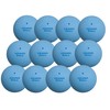 Nagasekenko TSSBL-V Kenko Soft Tennis Practice Ball, Standard Blue, 1