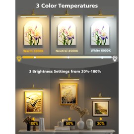 VOLISUN Picture Lights for Wall, 13 inch Rechargable Picture Light Battery Operated, 3 Color Temperatures Cordless Picture Light with Remote, Art Light for Paintings, Gallery, Portrait, 2 Pack (Gold)