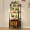 Plant Stand Indoor with Grow Lights and Removable Drawer, 4