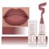 Ainipink Labial Mate 1 Pieza Con Fácil Aplicación